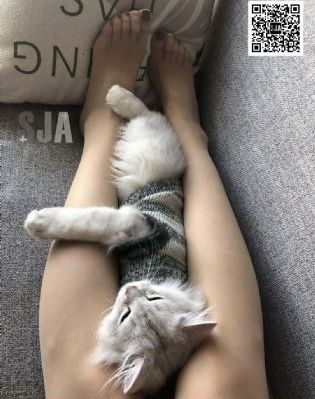 色戒无删减汤唯