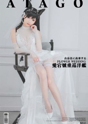 电视剧芝麻胡同免费观看全集